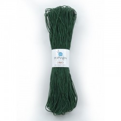 Popyarn Cavo  - Light Green